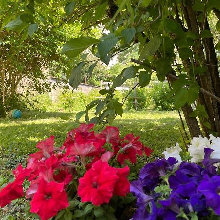 Chambre Privee Vue Sur Le Jardin Proche Centre Ville Besancon Ngoại thất bức ảnh