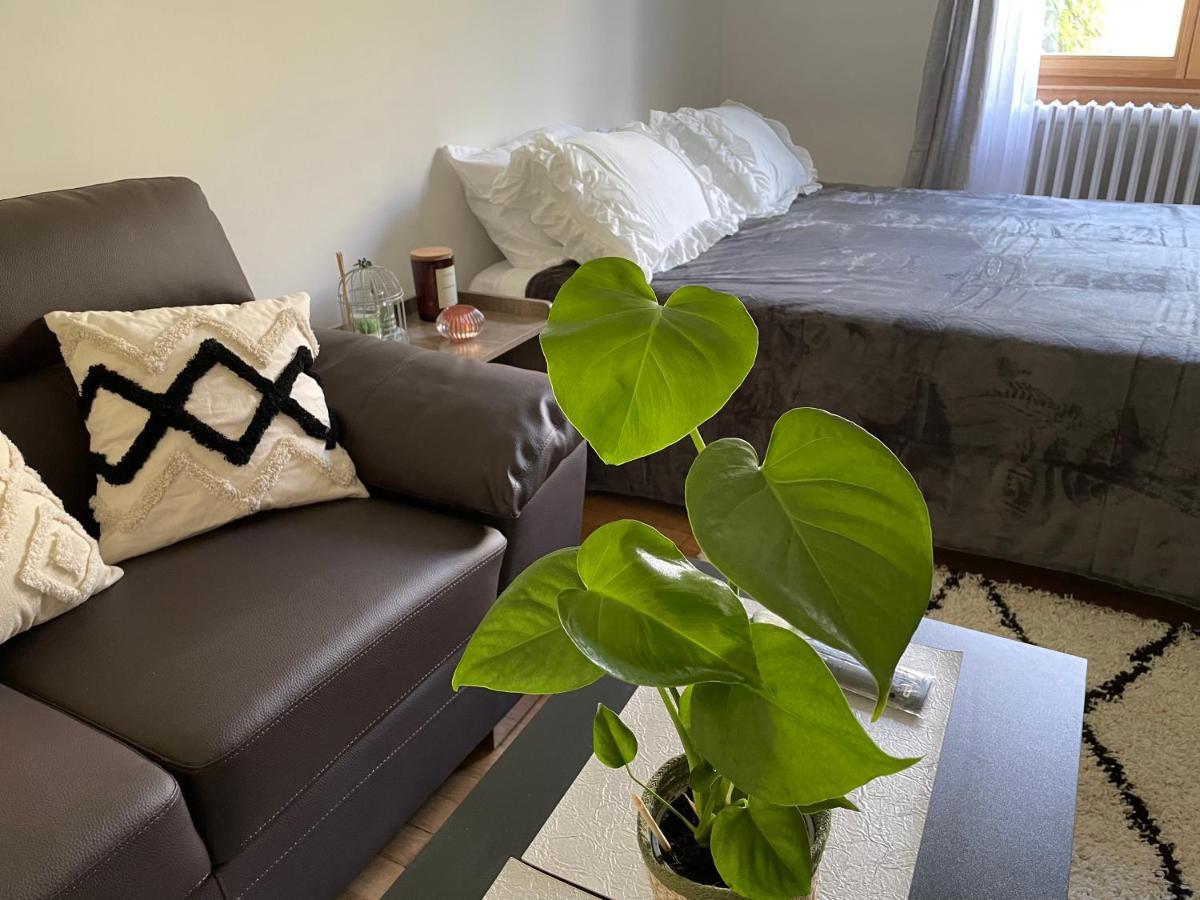 Chambre Privee Vue Sur Le Jardin Proche Centre Ville Besancon Ngoại thất bức ảnh